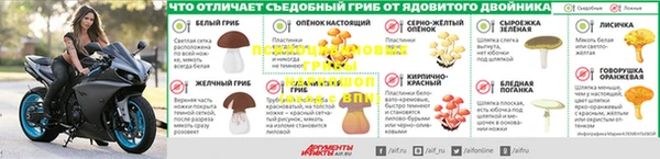 экстази Горняк