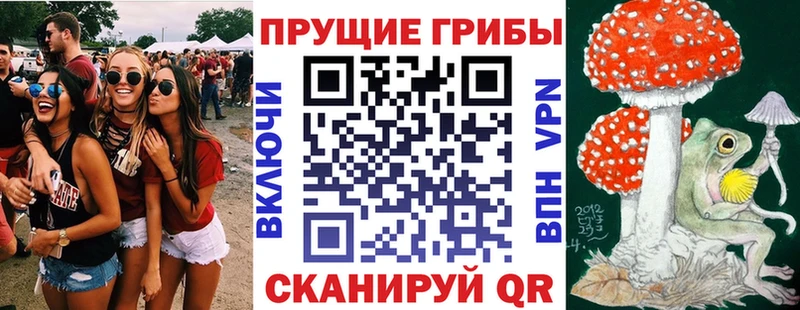 Псилоцибиновые грибы ЛСД  даркнет сайт  гидра ССЫЛКА  Мценск 